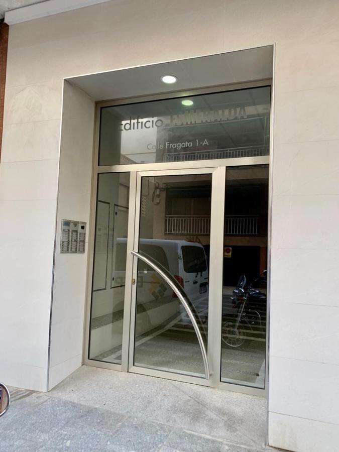 Esmeralda تورّيفيِخا المظهر الخارجي الصورة
